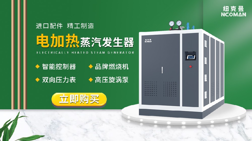 電熱式蒸汽發生器多少錢？性價比之王竟在這里！